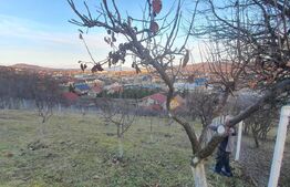 Casa 154 mp utili + 18 ari de teren in zona de centură