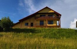 Cabana de vanzare in Stramba