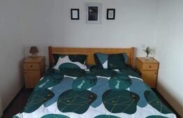 Cabana de vanzare in Stramba