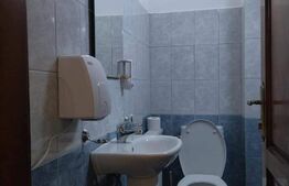 Cabana de vanzare in Stramba