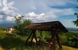 Cabana de vanzare in Stramba