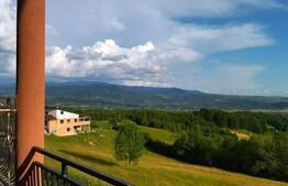 Cabana de vanzare in Stramba