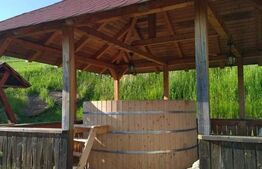 Cabana de vanzare in Stramba