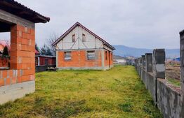 Case de vanzare pentru familie numeroasa, Unirea! 