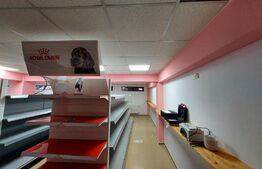 Spaiu birouri/magazine, 48mp, zona muzeului Nasaud