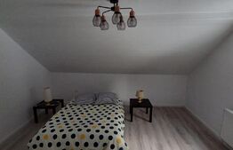 Casa -vila P+M,Teren 1100mp, Colibita 