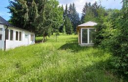 Casa -vila P+M,Teren 1100mp, Colibita 