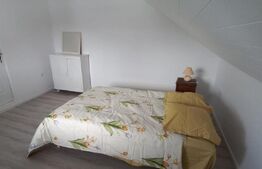 Casa -vila P+M,Teren 1100mp, Colibita 