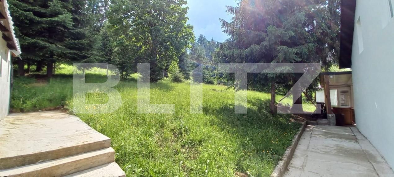 Casa de vânzare 4 camere Colibiţa - 151413CV | BLITZ Bistriţa | Poza14