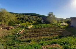 Teren intravilan, 700 mp, , zona Valea Ghinzii 