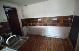 Casa 150mp,P+1,anexe+teren 4200mp+balta de pesti 9km distanta de Beclean