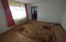 Casa 150mp,P+1,anexe+teren 4200mp+balta de pesti 9km distanta de Beclean