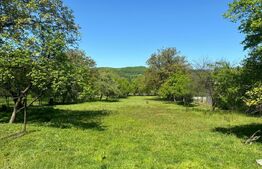 Casa de Vanzare Nimigea de Sus