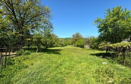 Casa de Vanzare Nimigea de Sus