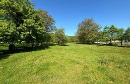 Casa de Vanzare Nimigea de Sus