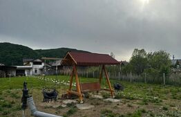 Casa individuala 270mp,2300 mp de teren cu lac de pesti, zona Nasaud