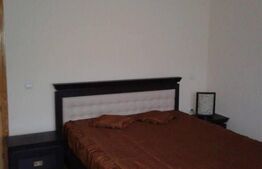 Casa individuala 270mp,2300 mp de teren cu lac de pesti, zona Nasaud