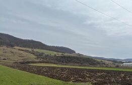 Teren extravilan 1,27 ha Arcalia