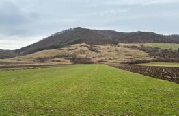 Teren extravilan 1,27 ha Arcalia