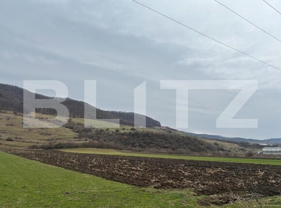 Teren de vânzare Arcalia - 151943TV | BLITZ Bistriţa | Poza2