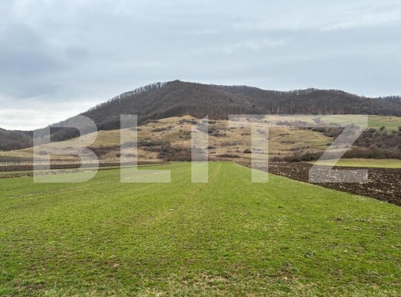 Teren de vânzare Arcalia - 151943TV | BLITZ Bistriţa | Poza1