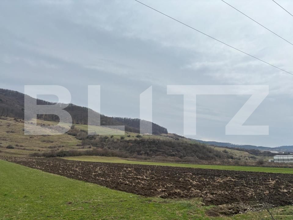 Teren de vânzare Arcalia - 151943TV | BLITZ Bistriţa | Poza2