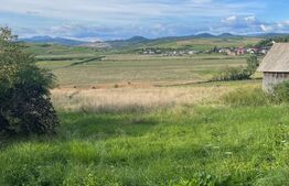 Casa individuala,3600 mp teren,zona Sintereag