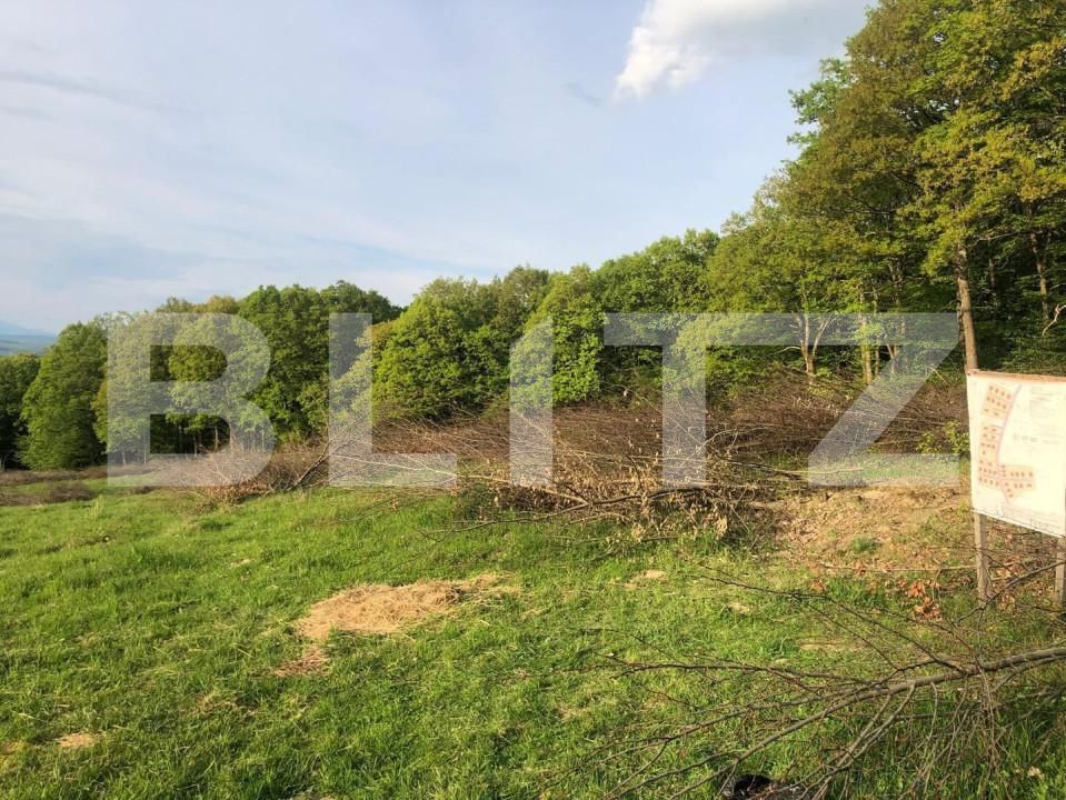 Teren de vânzare Periferie - 152077TV | BLITZ Bistriţa | Poza2