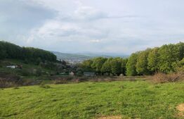 Teren 10 ari langa padure