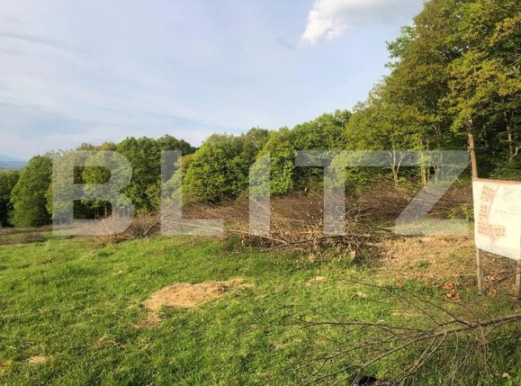 Teren de vânzare Central - 152096TV | BLITZ Bistriţa | Poza2