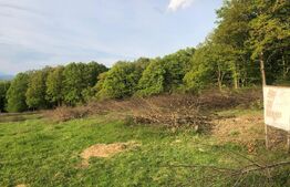 Teren 5 ari, priveliste frumoasa