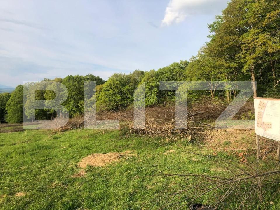 Teren de vânzare Periferie - 152100TV | BLITZ Bistriţa | Poza2