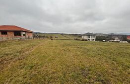 Teren Intravilan, 4000 mp, cartier Sigmir