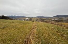 Teren Intravilan, 4000 mp, cartier Sigmir