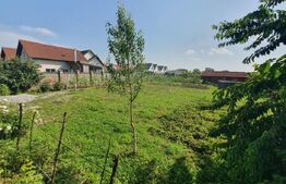 Tere intravilan Imprejmuit 700 mp Valea Rusului