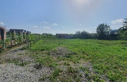 Tere intravilan Imprejmuit 700 mp Valea Rusului