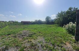 Tere intravilan Imprejmuit 700 mp Valea Rusului