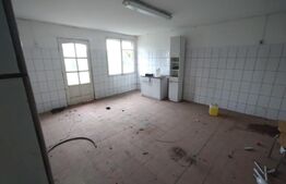 Casa+Hala productie 250mp utili+ teren 800 mp,comuna Sintereag