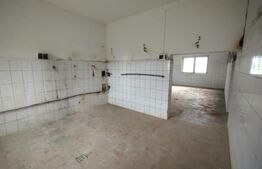 Casa+Hala productie 250mp utili+ teren 800 mp,comuna Sintereag