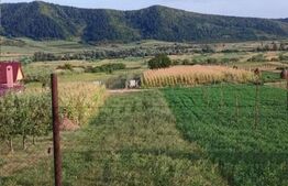 Teren cu livada 120 pomi,imprejmuit 33Ari,intravilan,zona Nasaudului