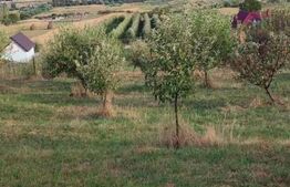 Teren cu livada 120 pomi,imprejmuit 33Ari,intravilan,zona Nasaudului