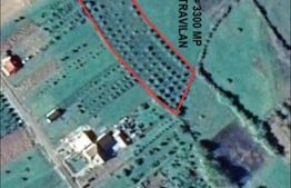 Teren cu livada 120 pomi,imprejmuit 33Ari,intravilan,zona Nasaudului