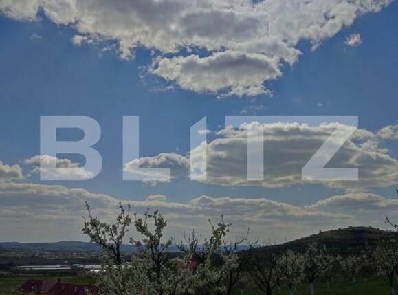 Teren de vânzare Nasaud - 152953TV | BLITZ Bistriţa | Poza1