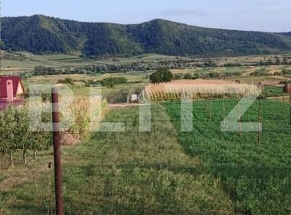 Teren de vânzare Nasaud - 152953TV | BLITZ Bistriţa | Poza1