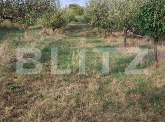 Teren de vânzare Nasaud - 152953TV | BLITZ Bistriţa | Poza8