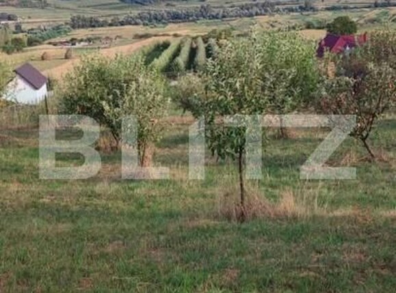 Teren de vânzare Nasaud - 152953TV | BLITZ Bistriţa | Poza3