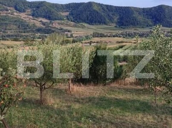 Teren de vânzare Nasaud - 152953TV | BLITZ Bistriţa | Poza4