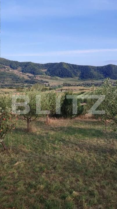 Teren de vânzare Nasaud - 152953TV | BLITZ Bistriţa | Poza4