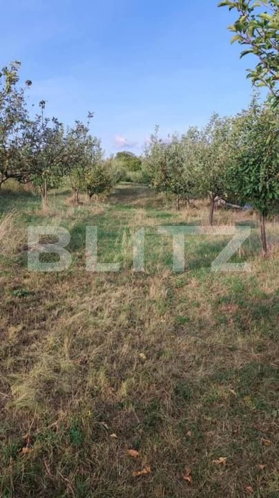 Teren de vânzare Nasaud - 152953TV | BLITZ Bistriţa | Poza2