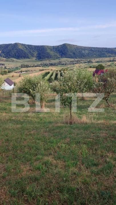 Teren de vânzare Nasaud - 152953TV | BLITZ Bistriţa | Poza3